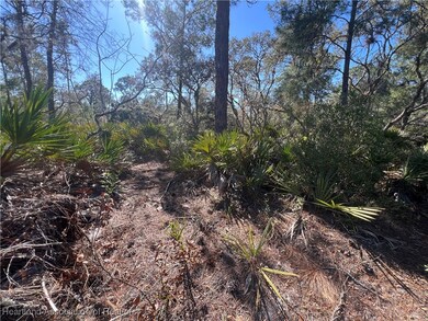 646 Jonathan St, Lake Placid, FL 33852 - photo 6