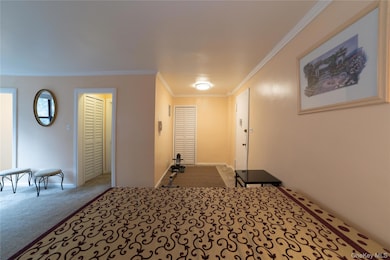 Kings Village unit 4M, Brooklyn, NY 11234 - photo 2