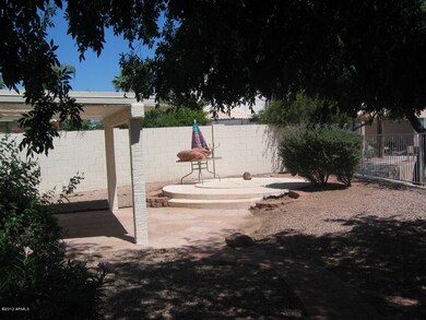 Backyard 3
