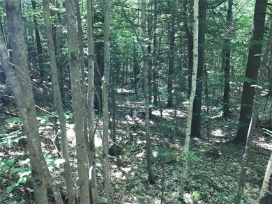 0 Orchard Rd, Acton, ME 04001 - photo 5