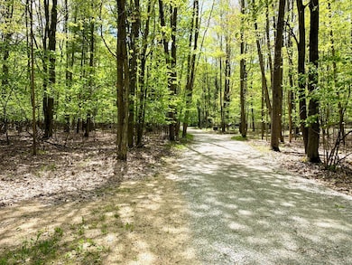 Lots 1-8 Adams Roosevelt, Roscommon, MI 48653 - photo 5