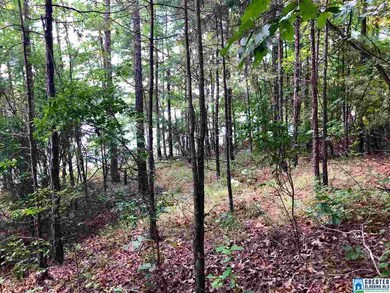 0 County Road 3292 unit 1 854493, Wedowee, AL 36278 - photo 6