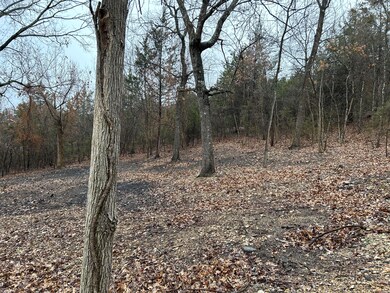 Lot 15 N Wilderness Trail, Kimberling City, MO 65686 - photo 5
