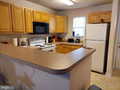 36501 Palm Dr unit 1202, Rehoboth Beach, DE 19971 - photo 3