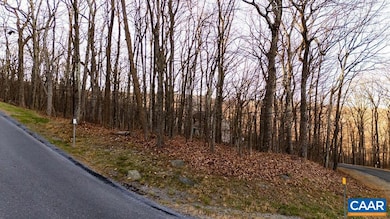 23 Rock Tree Ln, Roseland, VA 22967 - photo 6