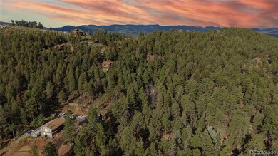 33476 La Plata Ln, Pine Junction Area, CO 80470 - photo 4
