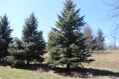 Rear Yard View from Deck