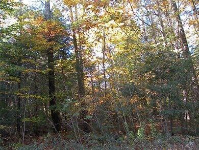 Wooded large lot, bring your builder...