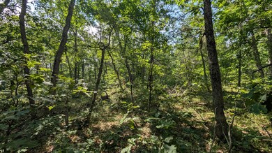 V/L E Stark Rd, Free Soil, MI 49411 - photo 2