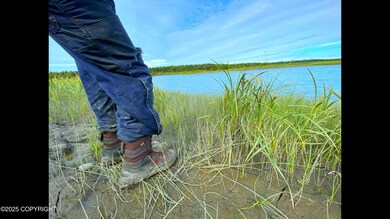 L33 Red Fox Ln, Kasilof, AK 99610 - photo 5