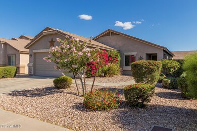 Yavapai-3