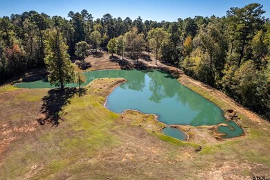 15198 Fm 16 E, Winona, TX 75792 - photo 2