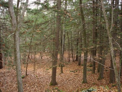 11 Buzzell Rd, Dayton, ME 04005 - photo 6