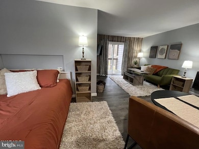 209 E Valley Point Ln unit C802, Claysburg, PA 16625 - photo 6