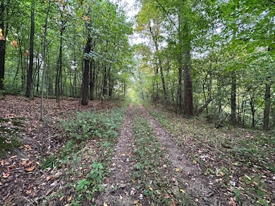 0 Rt 271 (Menhore Blvd) unit 11357205, Johnstown, PA 15905 - photo 3