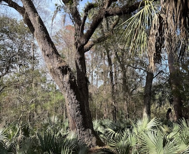 0 Dressen Rd unit 22893184, Hardeeville, SC 29927 - photo 4