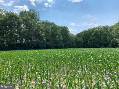 3228 Thompsonville Rd, Milford, DE 19963 - photo 5