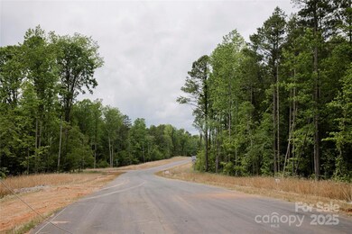Lot 33 Great Blue Path, Clover, SC 29710 - photo 6