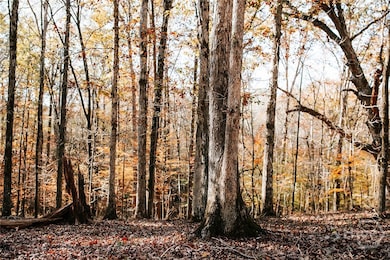 0 Greensboro Rd unit CL343963, Crawfordville, GA 30631 - photo 4