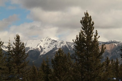 0 Goshawk Trail unit 206029, Big Sky, MT 59716 - photo 3