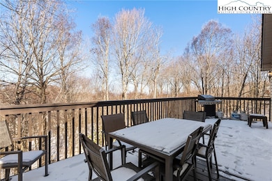 101 Doe Ln, Beech Mountain, NC 28604 - photo 5