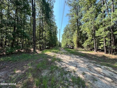 87 Highway 87, Forsyth, GA 31029 - photo 2