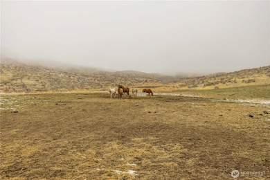 12 Charlie Dr, Pateros, WA 98846 - photo 2