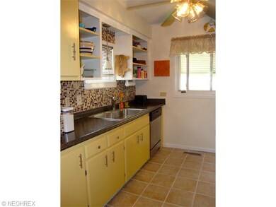 Newer Countertops, sink and faucet