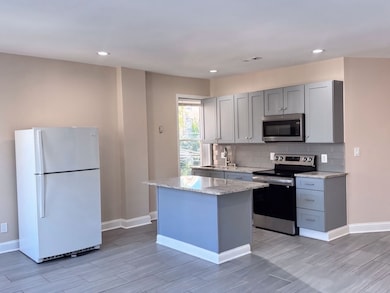 1315 W 18th St unit 2, Chicago, IL 60608 - photo 4