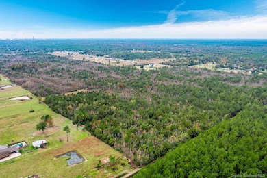 0 Clifford Rd, Sulphur, LA 70611 - photo 5