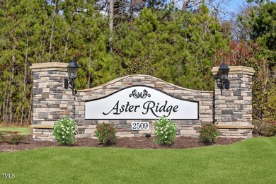 KBRAL_Aster_Ridge_Monument4933-11x (3)