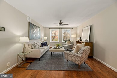 4717 31st St S unit B2, Arlington, VA 22206 - photo 5