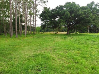 219 Sagecrest Dr, Ocoee, FL 34761 - photo 7