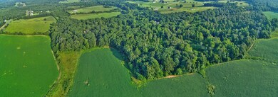 0 Stonewall Rd unit 16 41395, Concord, VA 24538 - photo 5