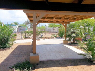 Back yard