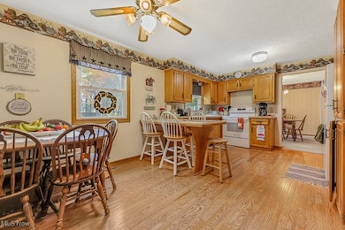 11676 Lair Rd NE, Alliance, OH 44601 - photo 6