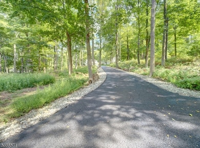 82 Roxiticus Rd, Far Hills, NJ 07931 - photo 3