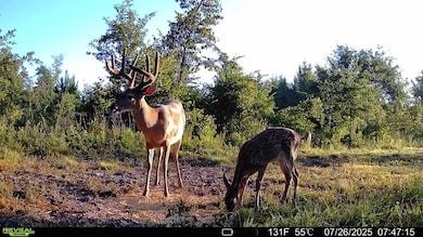 0 Fish Rd, Eastman, GA 31023 - photo 2