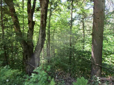 0 Braintree Hill Rd unit 4906972, Roxbury, VT 05669 - photo 6