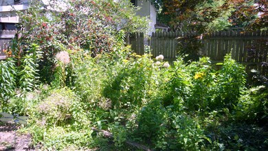 lush yard