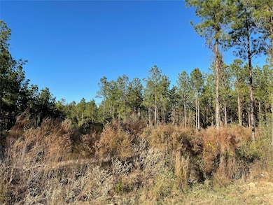 TBD Louisiana 155, Coushatta, LA 71019 - photo 5