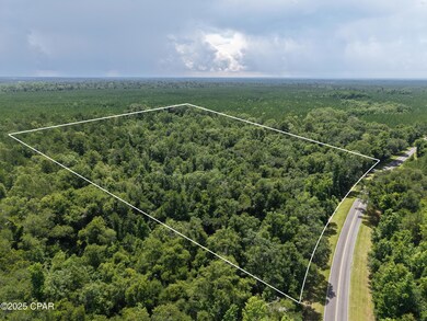 0 River Rd, Bascom, FL 32423 - photo 2