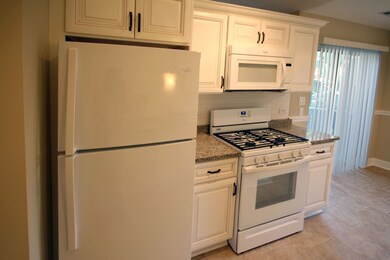 1711 Chesapeake Ln unit 4, Schaumburg, IL 60193 - photo 6