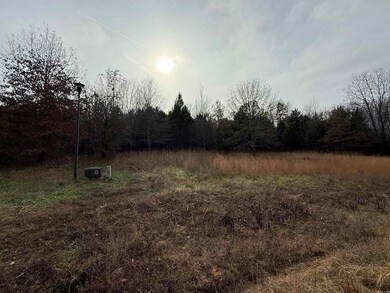 Tract 50 Rainbow Lake Rd, Austin, AR 72007 - photo 2