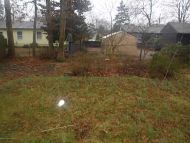rear yard