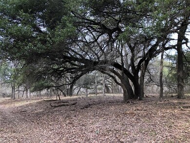 000000 Cr 235, Comanche, TX 76442 - photo 2
