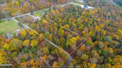 344 Burns Rd, Waymart, PA 18472 - photo 6