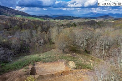 Drone view for the back of the house