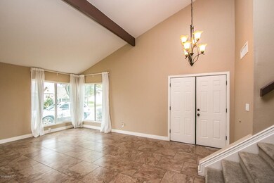Saguaro Cir-6