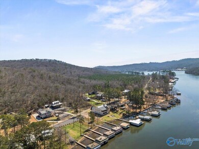 2014 White Elephant Rd, Grant, AL 35747 - photo 7